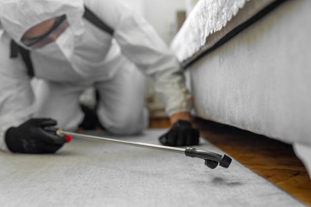 Professional Bed Bug Control technician working in Lake Winnebago, MO