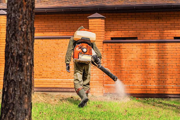 Trusted Cockroach Control service in Lake Winnebago, MO - Nex Pest Control